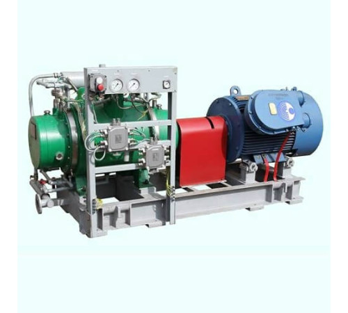 Насосы для многофазных сред в Гомеле и Беларуси